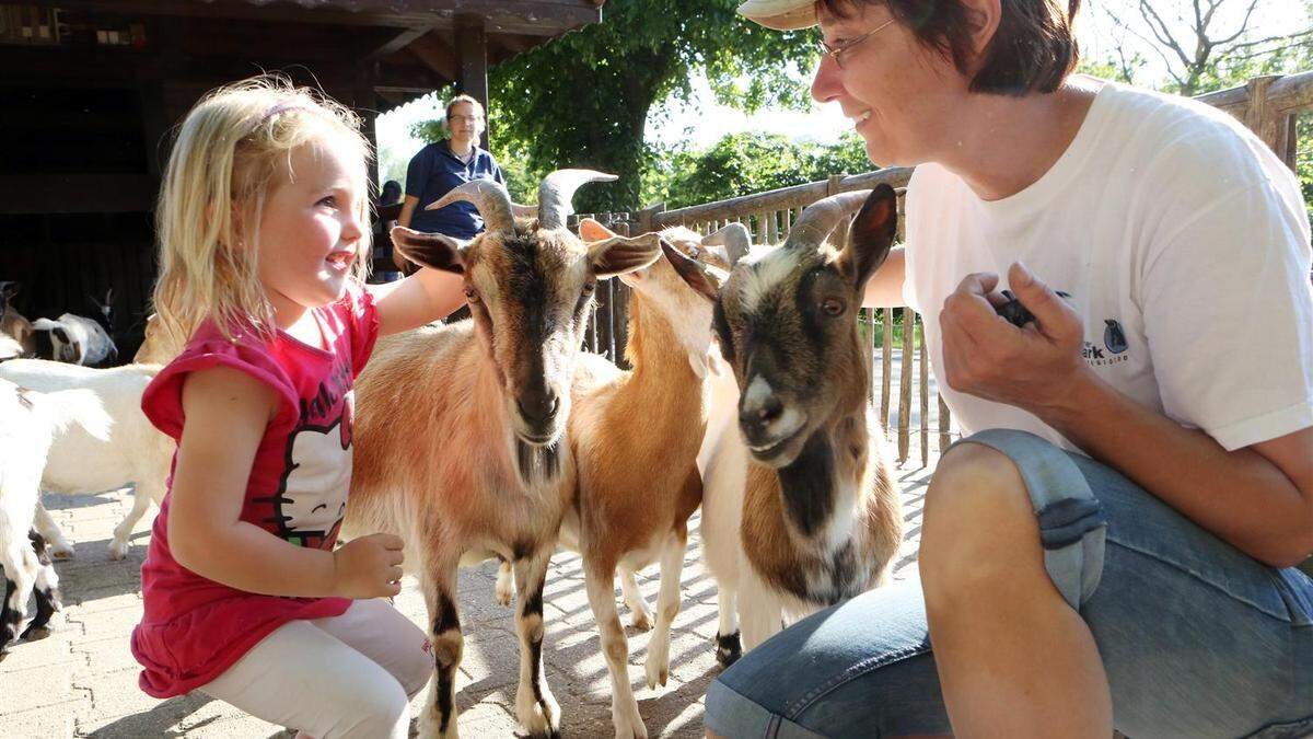 🐾 티어파크 아헨